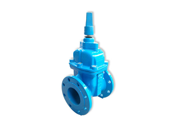 วาล์วประตูมาตรฐาน BS - BS Standard Gate Valve